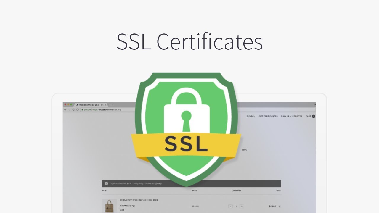 Ssl test. SSL Certificate. SSL сертификат фото. ССЛ сертификат. Логотип SSL secure.