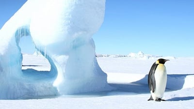 tucnak-cisarsky-tux-linux-1