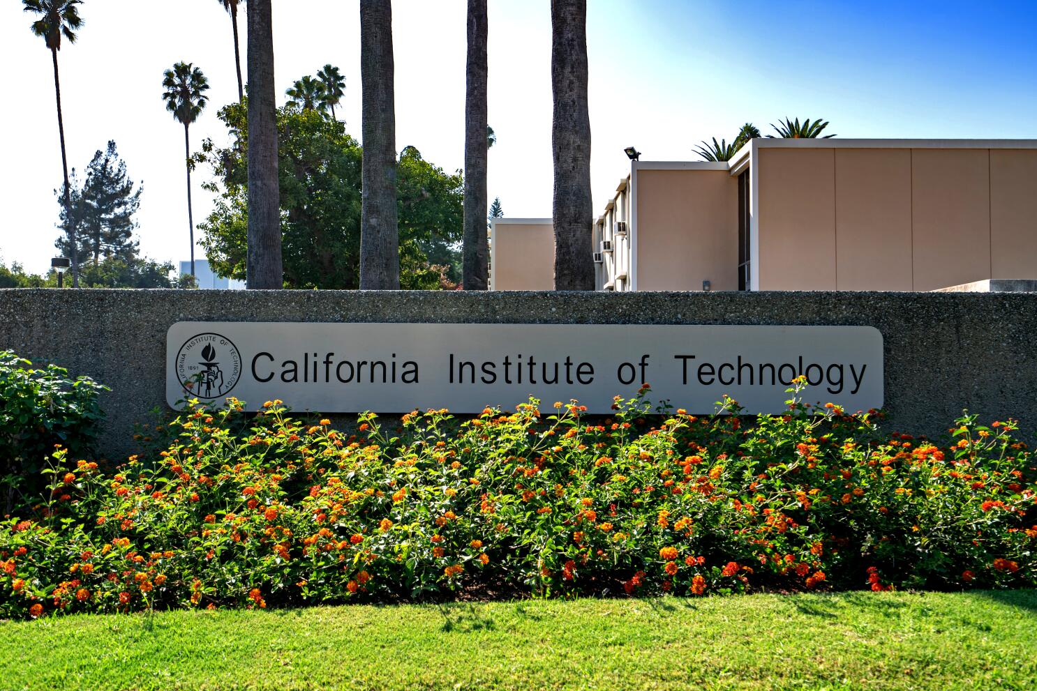 Закончена многолетняя судебная тяжба между Калифорнийским технологическим институтом и Apple
