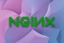 Pingora 0.2 — вилка Nginx для создания надежных сетевых систем