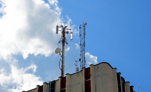 Количество заявок от операторов на совместное использование радиочастот по выросло в 2,5 раза