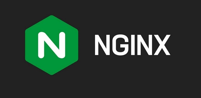 Разработчики Nginx основали в России новую компанию Angie