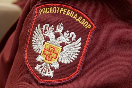 Роспотребнадзор запретил использование смартфонов в образовательных целях