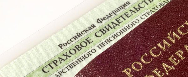 СНИЛС в Росии стал полностью цифровым