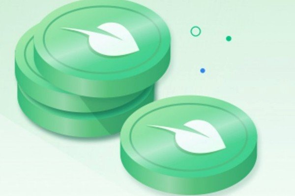 Разработчик криптовалюты Chia планирует до конца года провести IPO