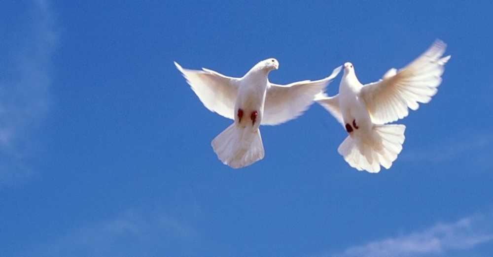 Медиахолдинги и интернет-компании заключили перемирие на год