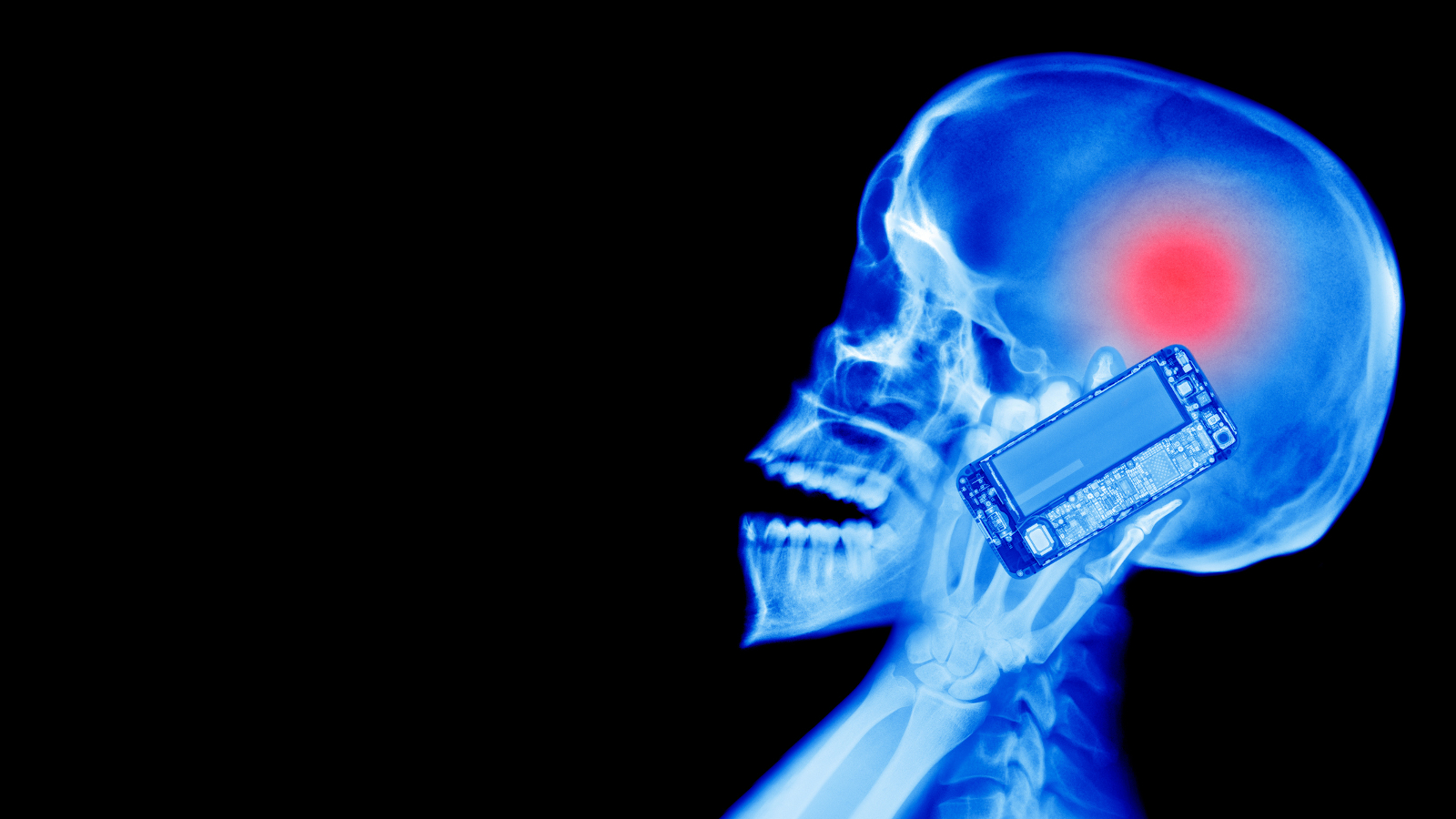 Продажи одного типа iPhone приостановлены во Франции из-за завышенного уровня радиации