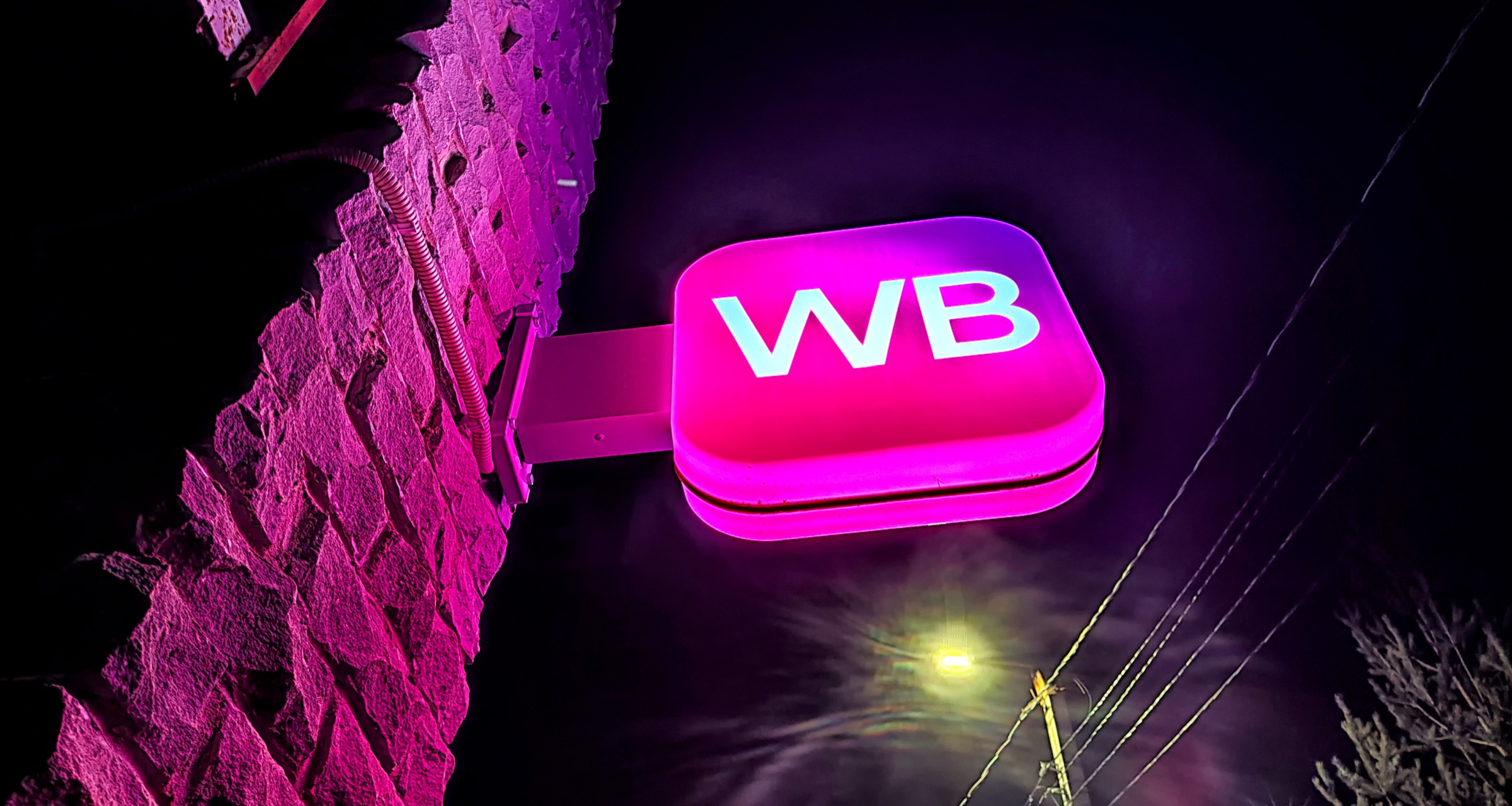Wildberries