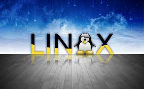 Линус Торвальдс представил Linux 6.1 и ввел строгие правила для разработчиков