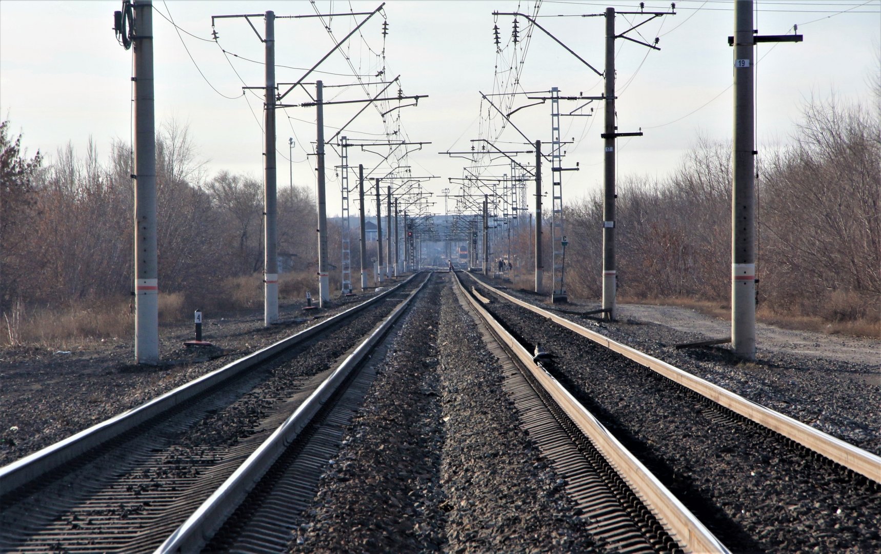 Строительство сетей 5G начнётся вдоль железных дорог